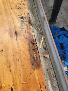 Roof Drying and Plywood Repairs
